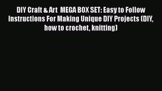PDF DIY Craft & Art  MEGA BOX SET: Easy to Follow Instructions For Making Unique DIY Projects