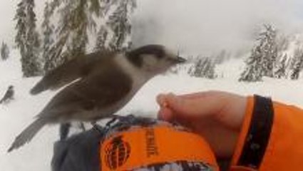 Snowboard Glove GoPro POV