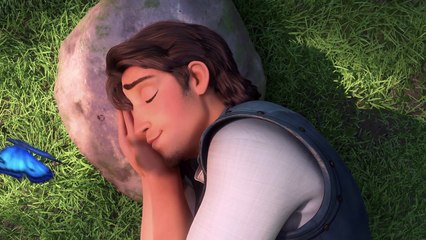 Tangled - Wanted  Hero  Flynn Rider