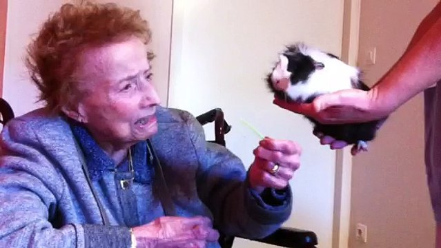 A l'Ehpad de Royère de Vassivière, les résidents partagent leur vie avec plusieurs animaux