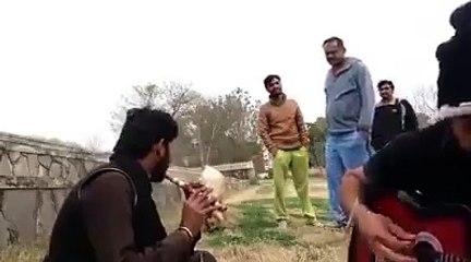 tajdar e haram Flute - Jazzi Collection