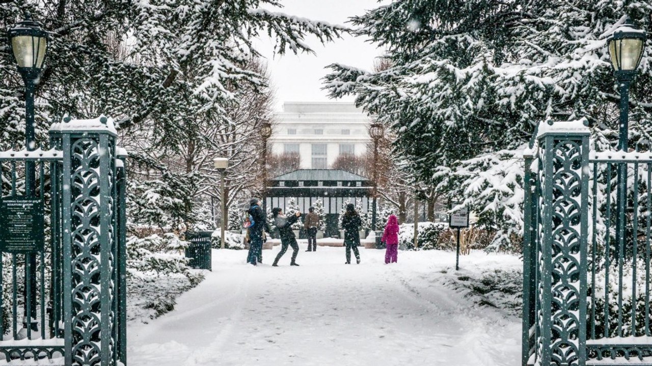 Social video shows winter storm in D.C. region