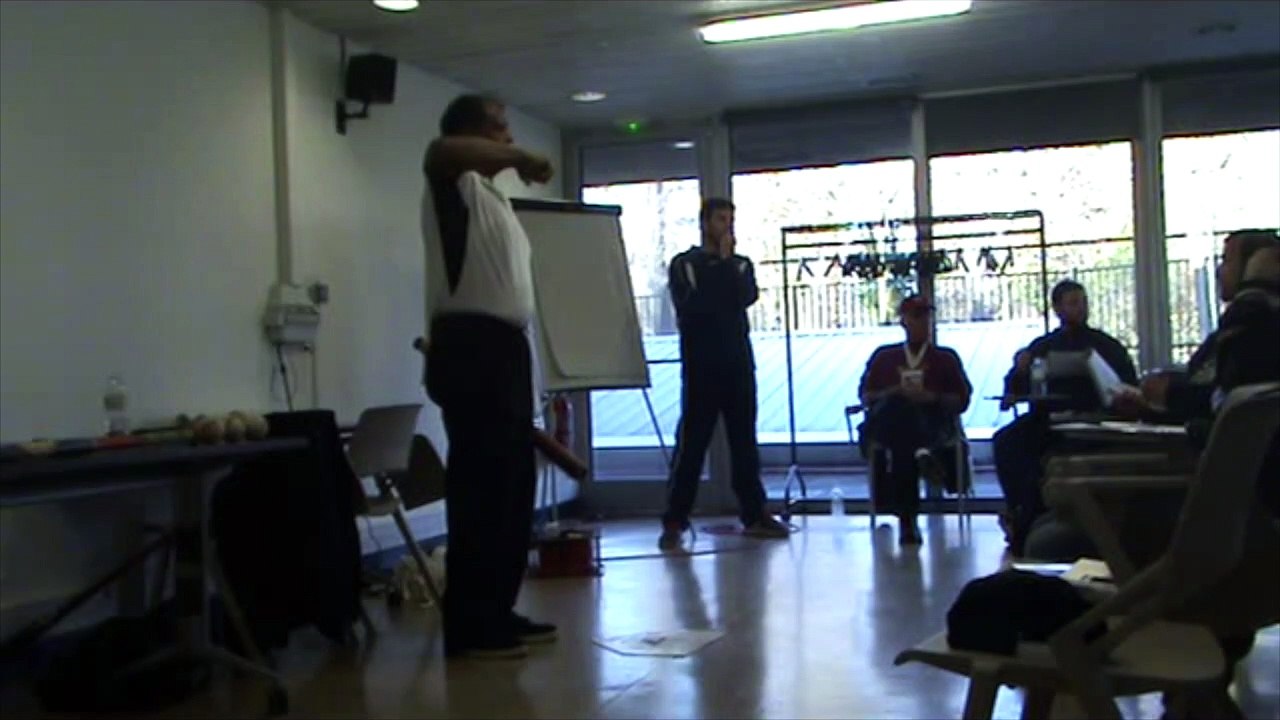 Colloque Baseball 2016 Reggie Smith 15-01-15 matin part2