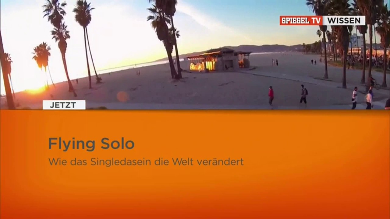 Flying Solo - 2015 - Wie das Singledasein die Welt verändert - by ARTBLOOD