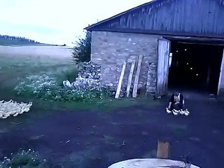 Домой бегом ! Позитив! Смотреть всем!