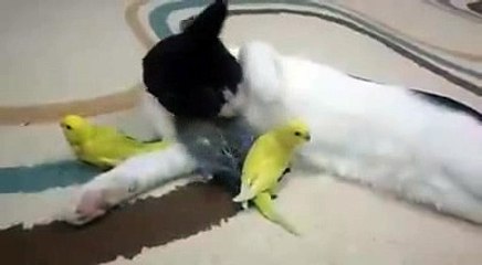 BOTH ARE VERY, VERY SWEET....Amazing pictures....