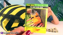 BIGGEST Bumble BEE Surprise Egg! HobbyTiger Surprise Toys by HobbyKidsTV