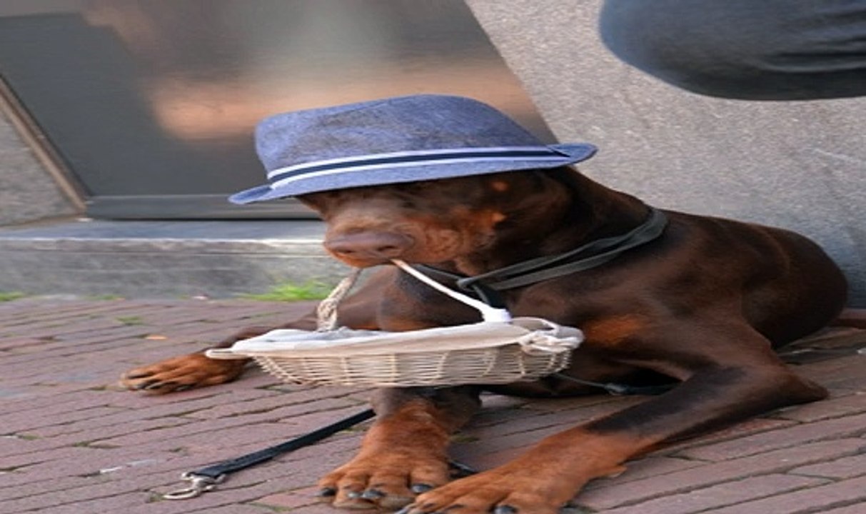 단폴가능놀이터 ♛「〃GT-77WAY.COM〃」♛추천코드: Win365