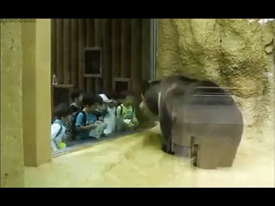 çocuklar coşturan ayı :)