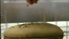 Brennans Bread