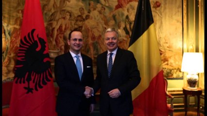 BUSHATI TAKON HOMOLOGUN BELG, E INFORMON PER PROGRESIN E REFORMAVE INTEGRUESE LAJM