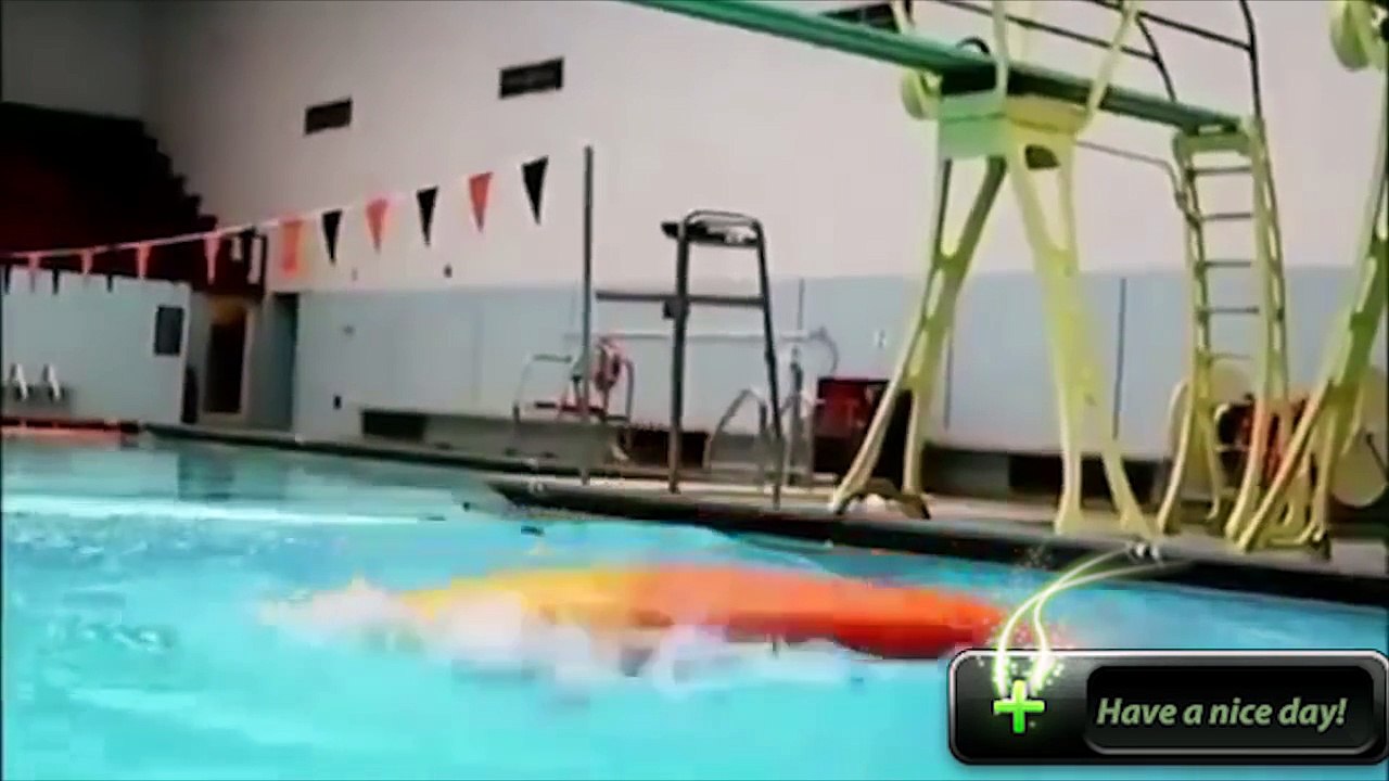 Eğlenceli. videolar, özel, sevimli,ilginç,eğlenceli süper eğlenceli