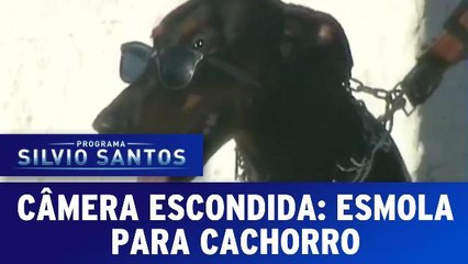 Câmera Escondida: Esmola pra Cachorro