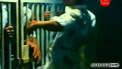 فلسطين الحبيبة