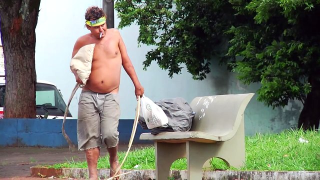 Teaser Divulgação Pedras, Plantas e Outros Caminhos