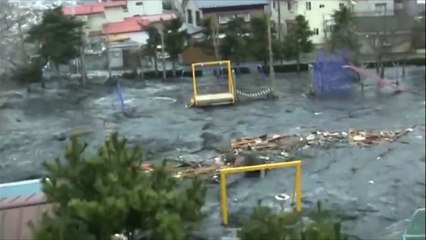 ЧТО ЭТО Непонятное НЕЧТО выпрыгнуло из воды во время Цунами