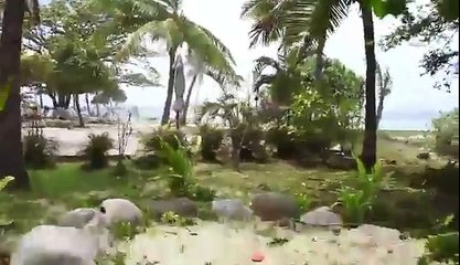 Fiji helicopter crash (longer w/ audio)