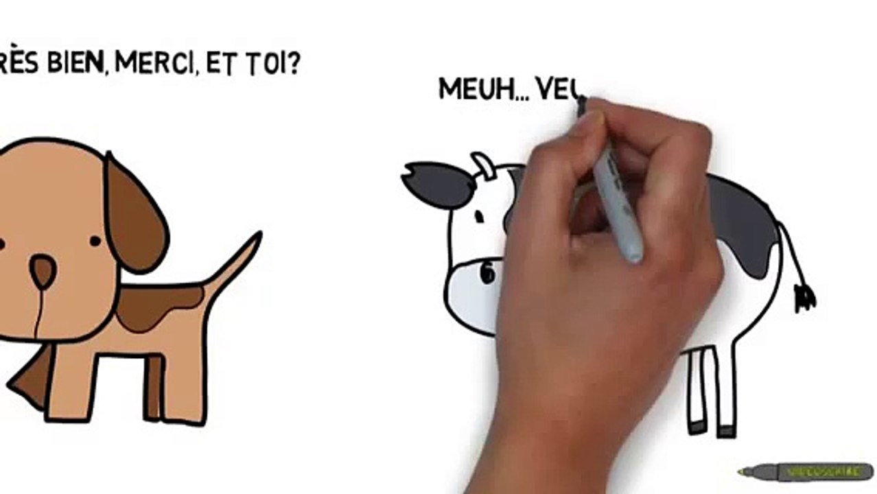 Videoscribe test