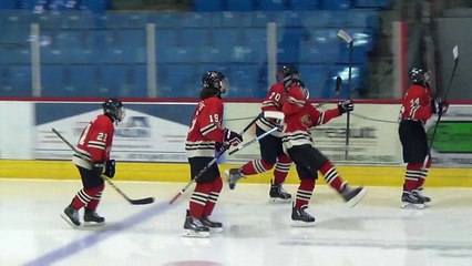 Tournoi Windsor, 3ieme période, Glads vs Tigres, 14 février 2016