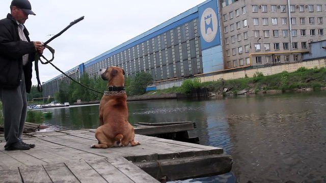 Смех да и только) Недальновидный хозяин решил искупать собаку)))