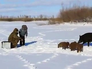 кабаны и рыбаки