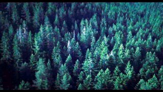 The Forest Official Trailer #1 (2016) - Natalie Dormer, Taylor Kinney Horror Movie HD