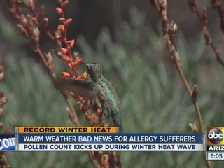 Warm weather bad news for allergy sufferers
