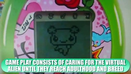 10 Ridiculous Inventions That Made Millions (2)