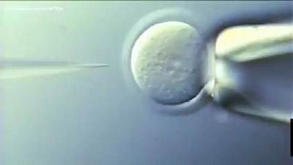 Awesome Machines - Hashem Al-Ghaili