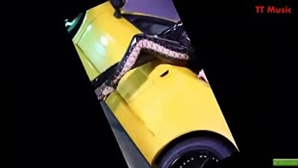 카지노사이트い【 SBS300。COM 】る현찰바둑이사이트주소