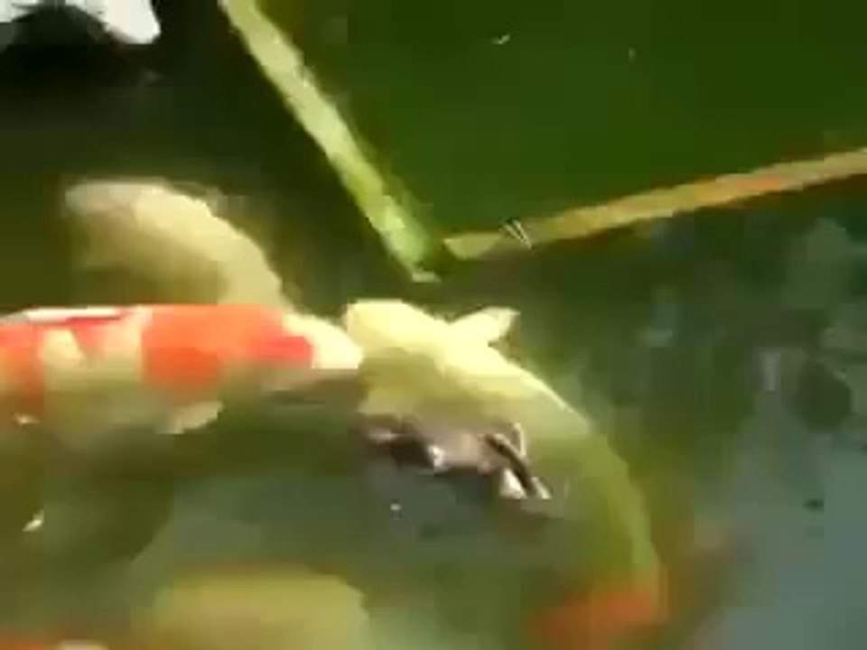 Allah Ki Qudrat-Allah Ki Shan-Merical Of Allah-Mojza-Azab E Qabar-Qabar Ka Azab