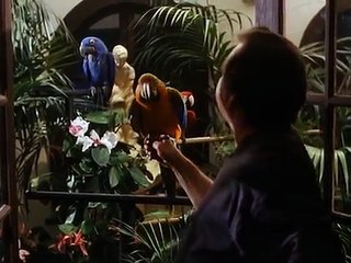 Tales From The Crypt s02e07