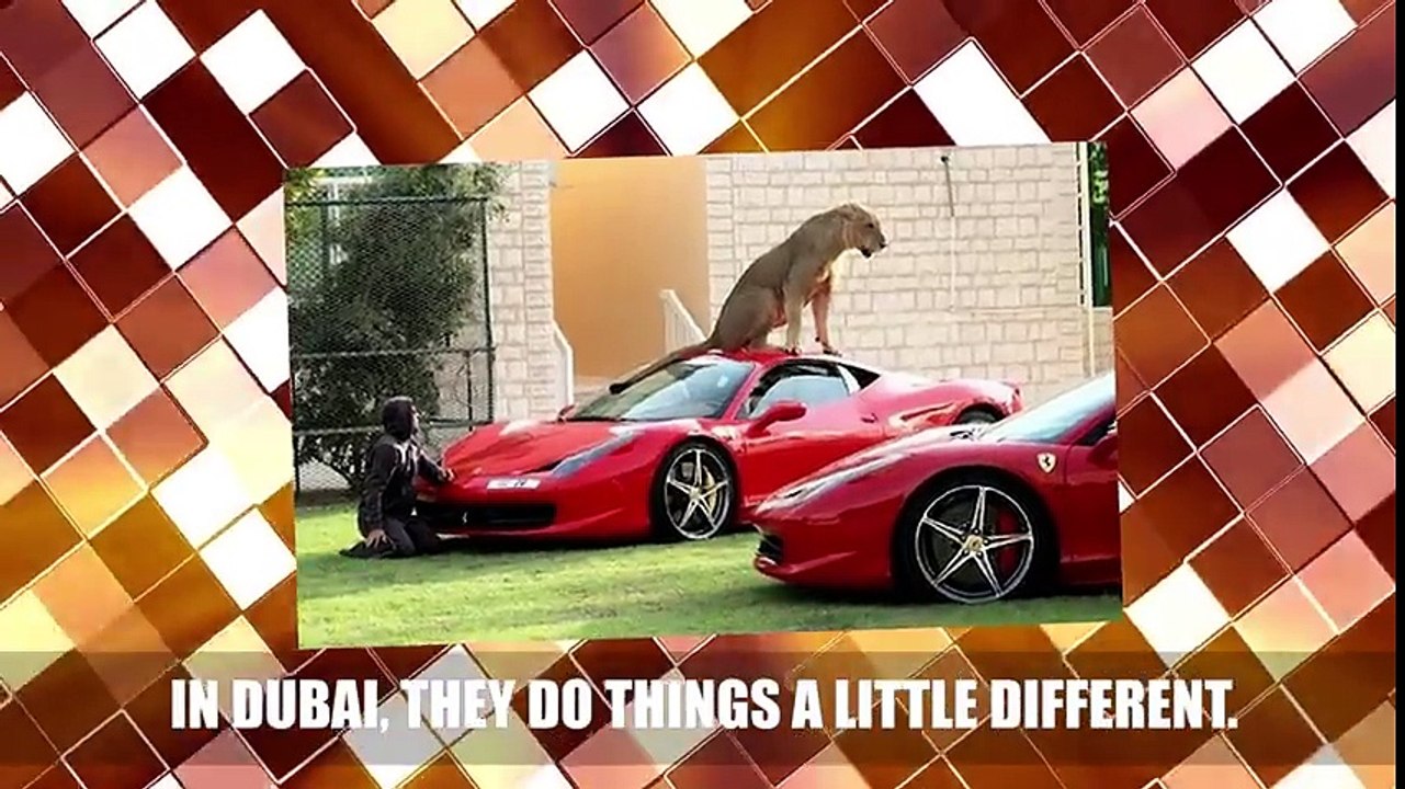 Amazing Things You'll Only See In Dubai