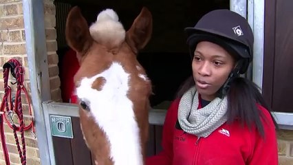 Horses can read human emotions, new study shows -