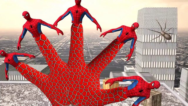 Spiderman Cartoon Finger Family Rhymes | Daddy Finger Songs and Nursery Rhymes
