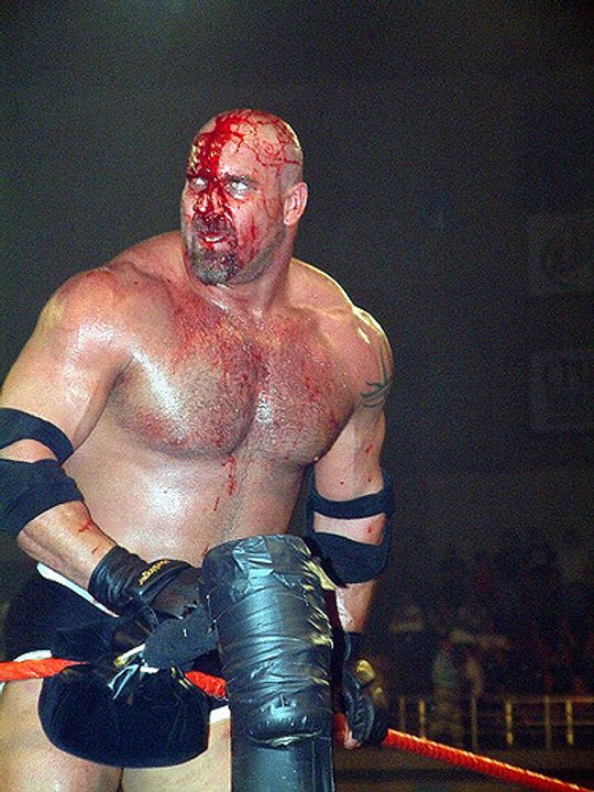 Goldberg vs Randy Orton vs Triple H vs Shawn Michaels vs Chris Jericho vs Kevin Nash WWE Sumerslam Elimination Chamber Full Match