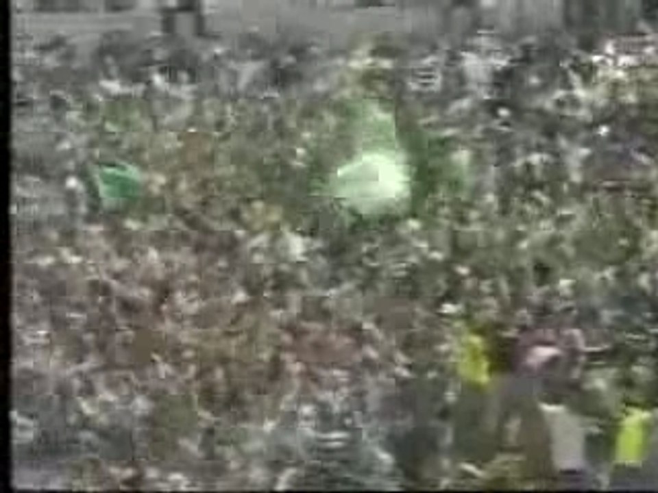 Supporter raja