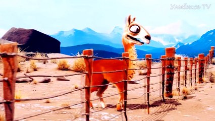 Каминандес - смешные короткие мультфильмы для детей от 2 лет