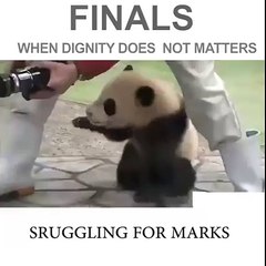 Finals...Struggling for marks