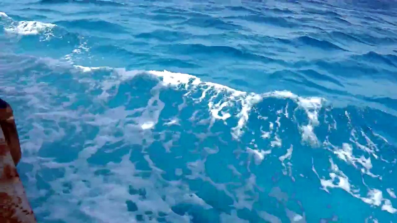 The best place for Windsurfing (Egypt, Dahab)