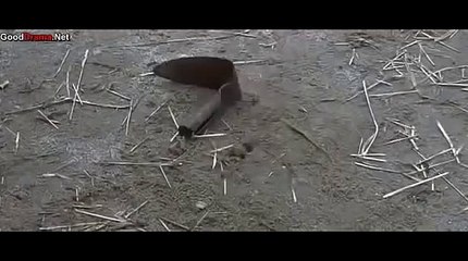 블랙잭게임방법ぢ■..TNT900、COM..▣ば온라인블랙잭싸이트と바카라블랙잭