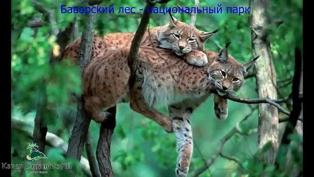 Бавария достопримечательности Достопримечательности Мюнхена