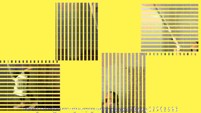 Best buy Shark Navigator LiftAway Professional Upright NV356E