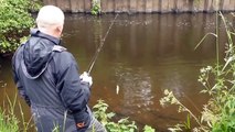 Catching chub on wobblers. Fishing for chub on small rivers.