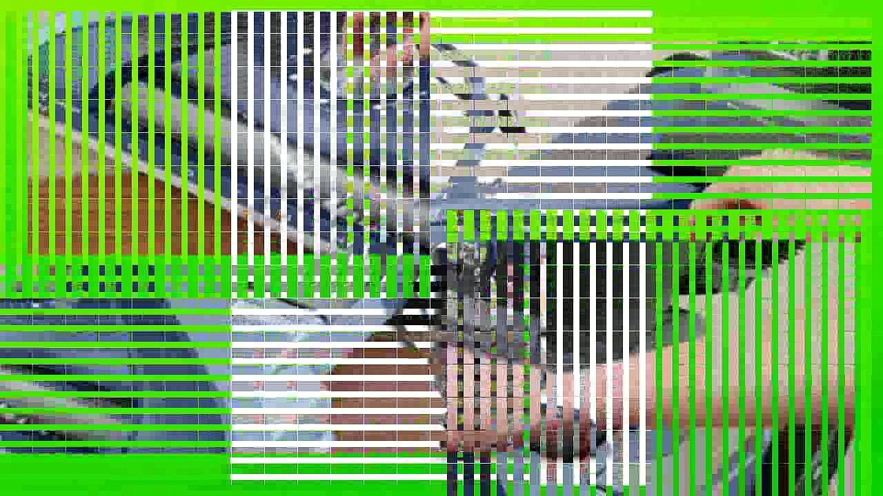 Best buy  Hoover TSeries WindTunnel Pet Rewind Bagless Upright Vacuum UH70210