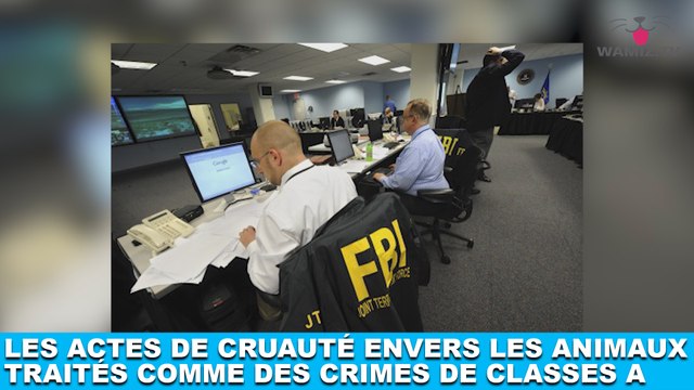 Les actes de cruauté envers les animaux traités comme des crimes de classe A ! Plus d'infos dans la minute chien #131