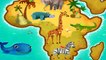 Развивающий мультфильм про животных Африки
