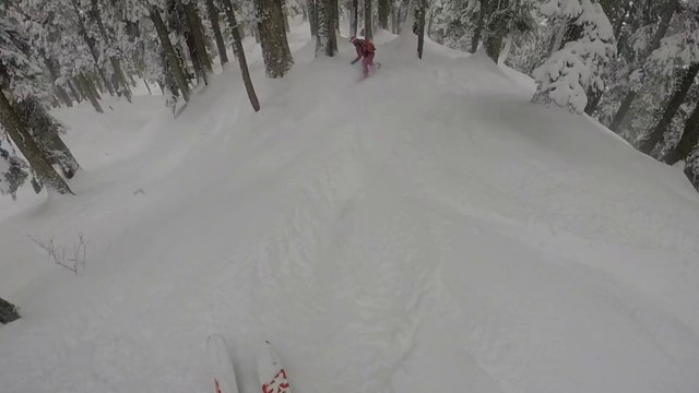 Buzz : Des skieurs tombent nez à nez avec un léopard des neiges !