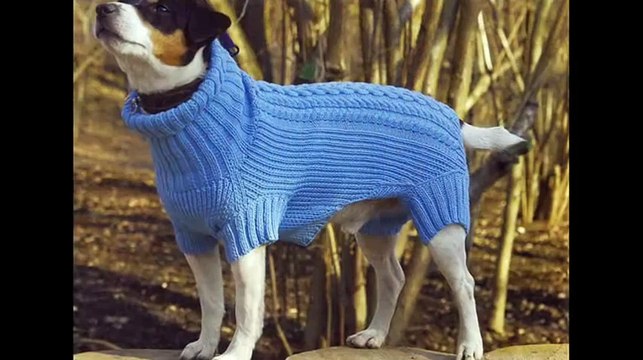 Любителям животных Одежда для собак