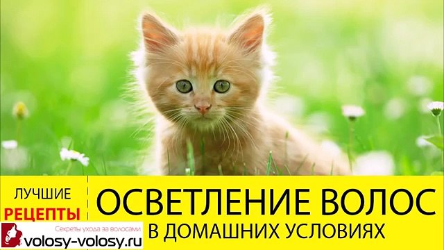 Как осветлить волосы в домашних условиях. БЕЗОПАСНОЕ осветление волос